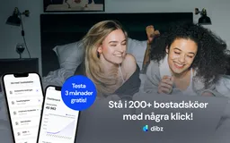 Dibz studentrabatt – gratis i 3 månader