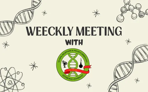 Weekly meeting