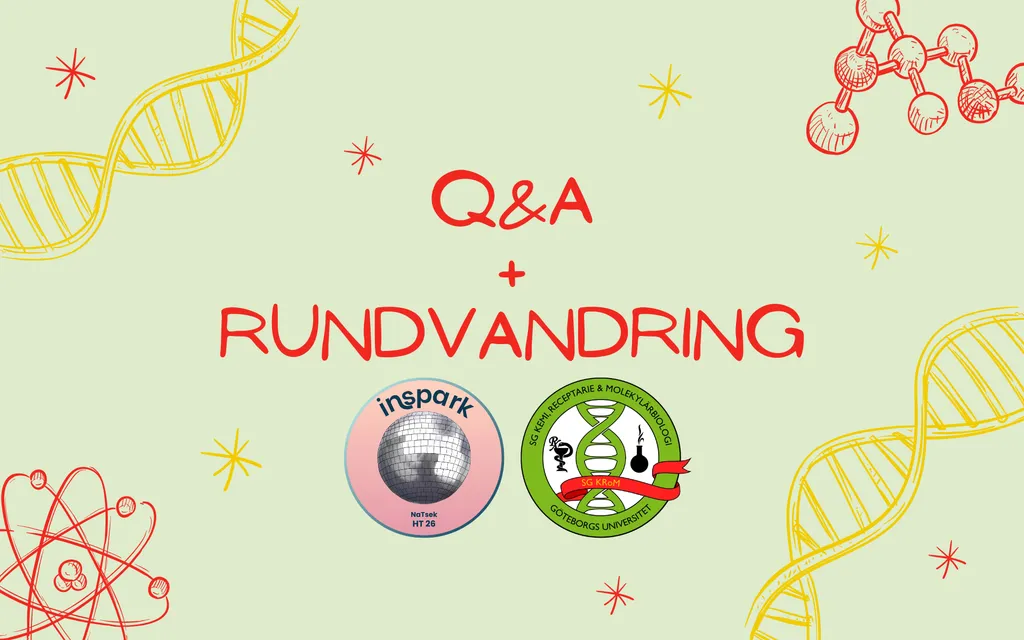 Q&A + rundvandring