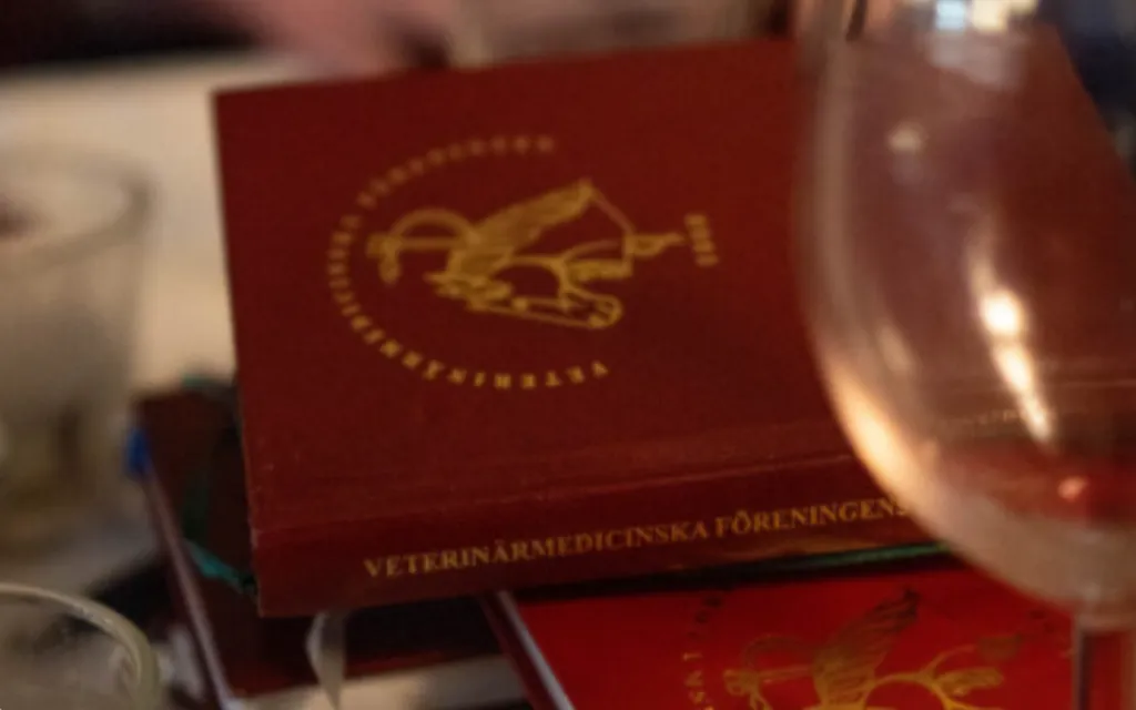 VET- & DSS-studenter