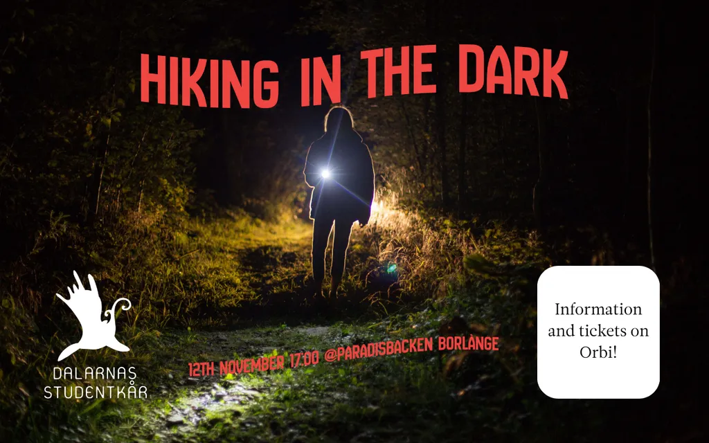 Hiking in the dark - Borlänge